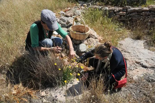 Aula de culinária grega em Syros: Colha e cozinhe com Maria