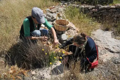 Corso di cucina greca a Syros: Raccogli e cucina con Maria