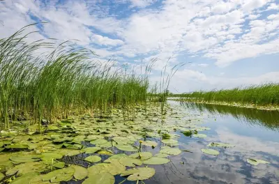 Tour 2 jours mer Noire et delta du Danube au départ de Bucarest