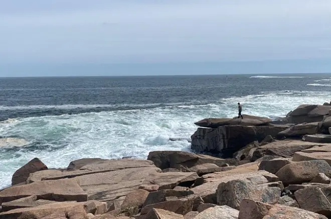Acadia National Park tour from Bar Harbor: Private guide, 3 hours