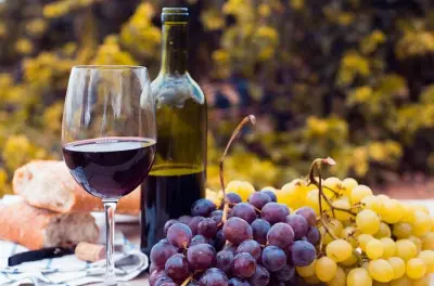 Concha y Toro Weingut: Private halbtägige Weinverkostung