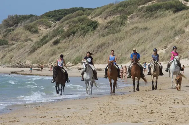 Equitazione a Tarifa: Spiaggia e montagna, 1–2 ore