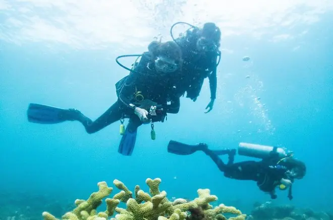 Koloa Landing Diving: Certified Divers Only