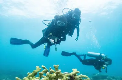 Koloa Landing Diving: Certified Divers Only