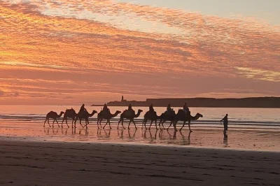 Sinta a brisa do atlântico em um passeio de camelo ao pôr do sol perto de essaouira, explore dunas e ruínas antigas, desfrute um picnic marroquino e volte com o céu dourado. inclui traslado.