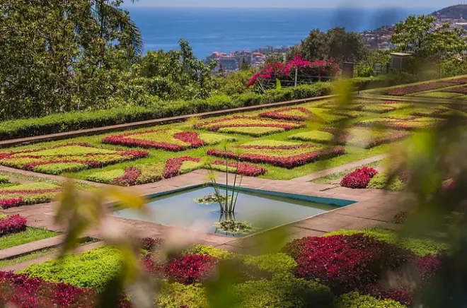 Funchal casco antiguo y jardín botánico: Tour privado en tuk tuk
