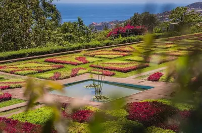 Funchal casco antiguo y jardín botánico: Tour privado en tuk tuk