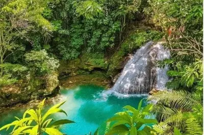 Rafting à Montego Bay : Blue Hole, Dunn's River et White River