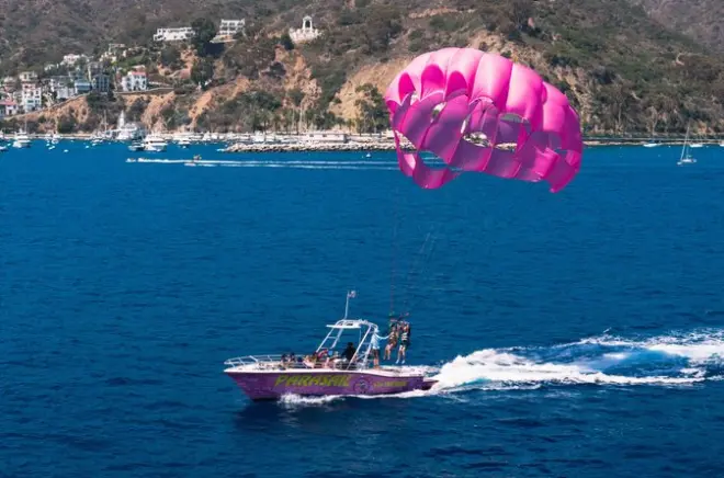 Vol en parachute ascensionnel à 244 m au-dessus de la baie d’Avalon