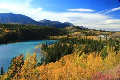 Cross white pass from skagway to yukon, see carcross desert & emerald lake, meet sled dogs and puppies, and enjoy lunch—all with pickup included.