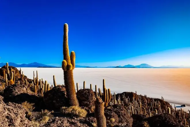 3-tägige Tour Salar de Uyuni: Zugfriedhof & Insel Incahuasi