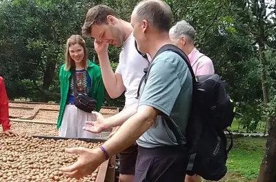 Kaffeetour und Macadamia-Fincas bei Antigua: Zwei Plantagen
