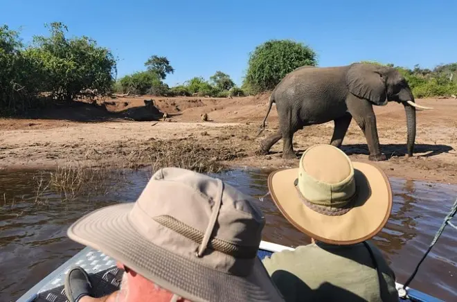 Chobe River Safari Half-Day: Small-Group Wildlife Tour