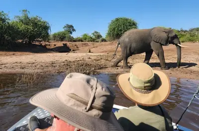 Chobe River Safari Half-Day: Small-Group Wildlife Tour