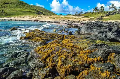 Easter Island tour: 7 archaeological sites with expert guide