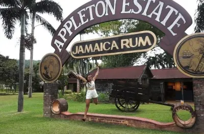 Montego Bay to YS Falls & Appleton Estate: Private tour