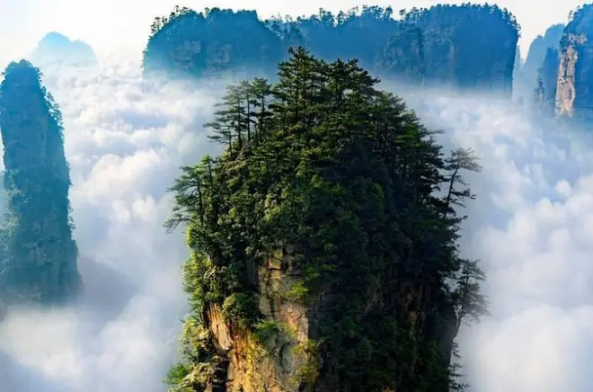 Zhangjiajie Avatar-Berge Tagesausflug: Pandora Landschaft