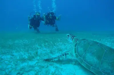 Tauchen in Fajardo: 2-Tank Discover Programm