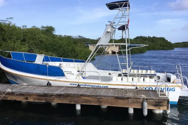 Aruba 2-Tank Guided Dive: Certified divers, southern reefs