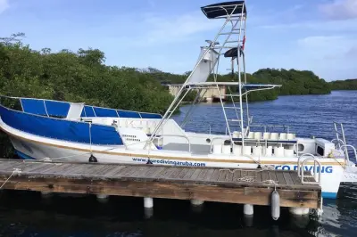 Aruba 2-Tank Guided Dive: Certified divers, southern reefs