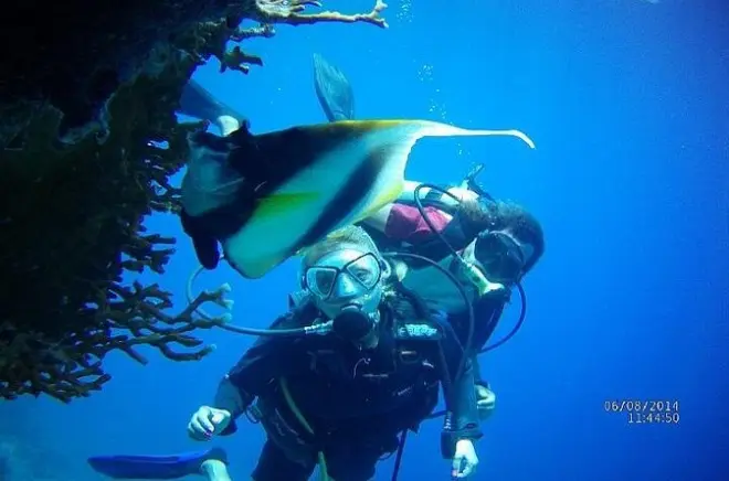 Certification PADI open water 3 jours à Sharm El Sheikh