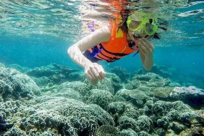 Vinh Hy Bay snorkeling: Barca con fondo di vetro e cascata
