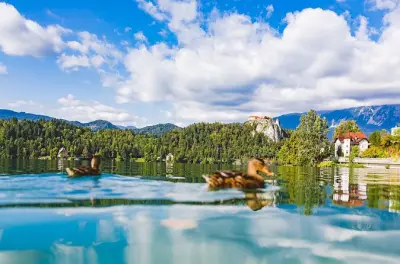 Lake Bled & Schloss: Private Halbtages-Tour ab Ljubljana