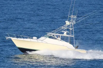 Private Deep Sea Fishing Charter Providenciales: Wahooters