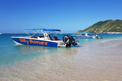 St maarten entdecken: schnorcheln mit meeresschildkröten bei tintamarre, rum punch genießen und versteckte strände auf pinel island erleben. inklusive mittagessen & hafenabholung.