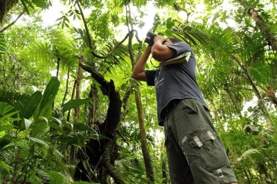Participez à une visite guidée d’observation des oiseaux au parc mundo aventura, près du volcan arenal. découvrez jusqu’à 250 espèces, savourez des en-cas locaux et profitez des conseils d