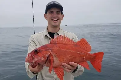 Privates Angelcharter in San Diego: Dorsch, Barsch & Lingcod fangen