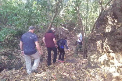 Scopri le incisioni sul fiume di kbal spean, visita il tempio rosa di banteay srei e esplora banteay samre, con trasferimento dall’hotel incluso.