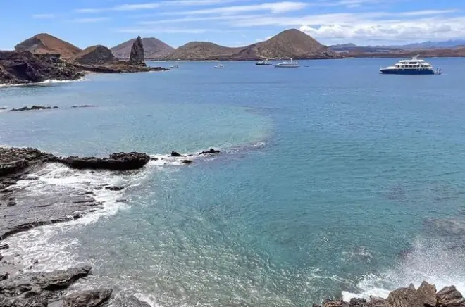 Galápagos 5-day tour: North Seymour, Tortuga Bay, Darwin Station