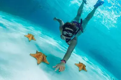 Schnorcheln in Cozumel: Palancar, Colombia Riff & El Cielo