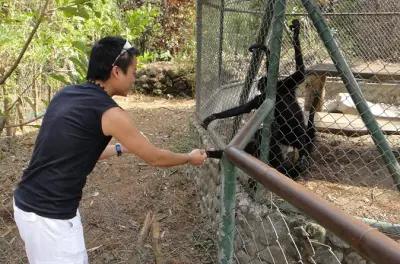 El Valle de Anton full-day tour: Volcano crater village
