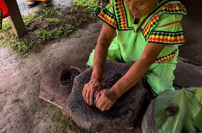 Isla Cristóbal: Aprende el arte del chocolate en finca de cacao