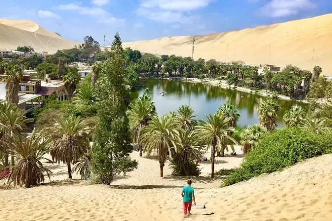 Tour em Ica + buggy e sandboard: Pisco, oásis e dunas