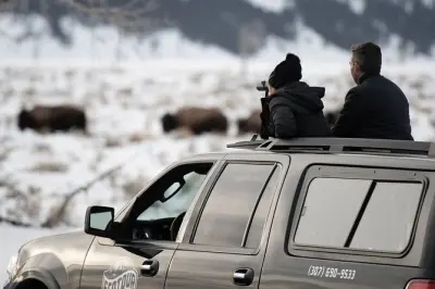 Grand Teton Snowshoe Wildlife Tour with Naturalist Guide