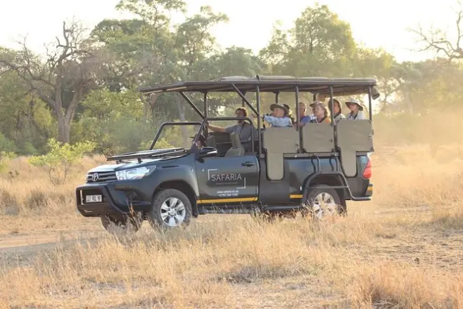 Safari journée complète parc Kruger : Visite privée Big 5