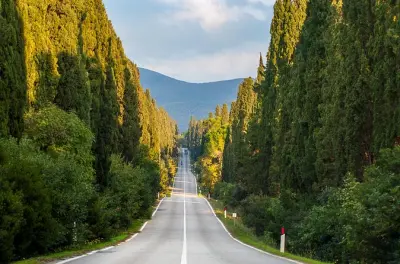 Wine Tour Bolgheri from Livorno: Cypress Avenue & Tuscan Wine