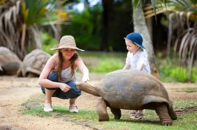 Süd-Mauritius Tour: Teeplantage, Tierwelt & Klippen