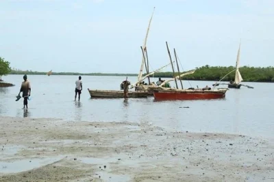 Descubre las ruinas históricas de tongoni y recorre una aldea pesquera viva cerca de tanga. conoce a los locales, observa antiguas tumbas shirazi y aprende sobre la historia costera.