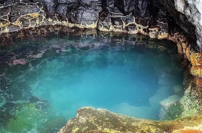 Sal Island Full-Day Tour: Salt Crater, Sharks & Kite Beach