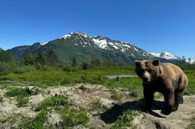 Turnagain Arm & Portage Valley private Tour ab Anchorage