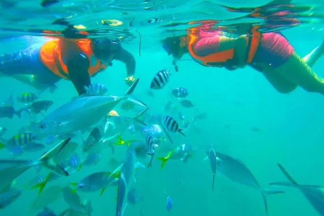 Snorkel em Kota Kinabalu: Ilhas Manukan e Sapi