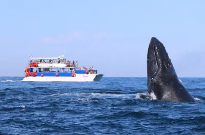 Puerto Vallarta Whale Watching: Catamaran with Lunch & Open Bar