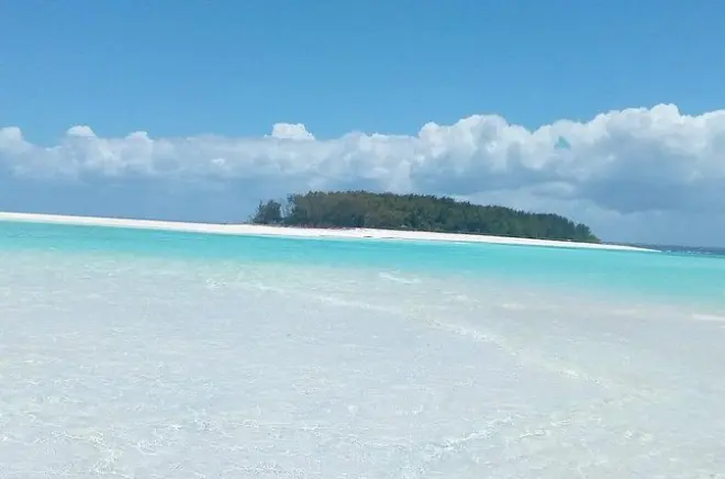 Snorkeling à Mnemba Island : Guide privé, dauphins et banc de sable