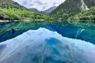 Jiuzhaigou Valley 4-day tour: Panda Base & alpine lakes