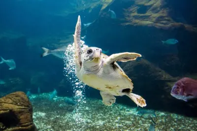 Crete family tour: Aquarium, dinosaurs, myths, villages