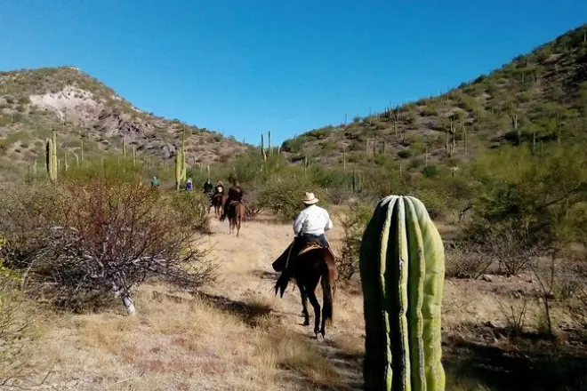 Cabalgata en Loreto: Vistas del desierto y el mar de Cortés
